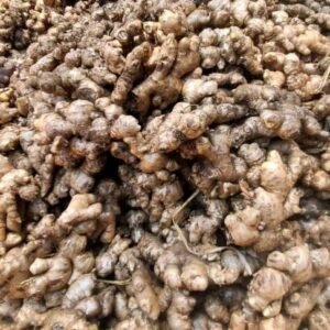 Fresh Ginger