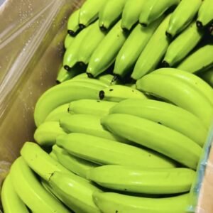 Green Bananas