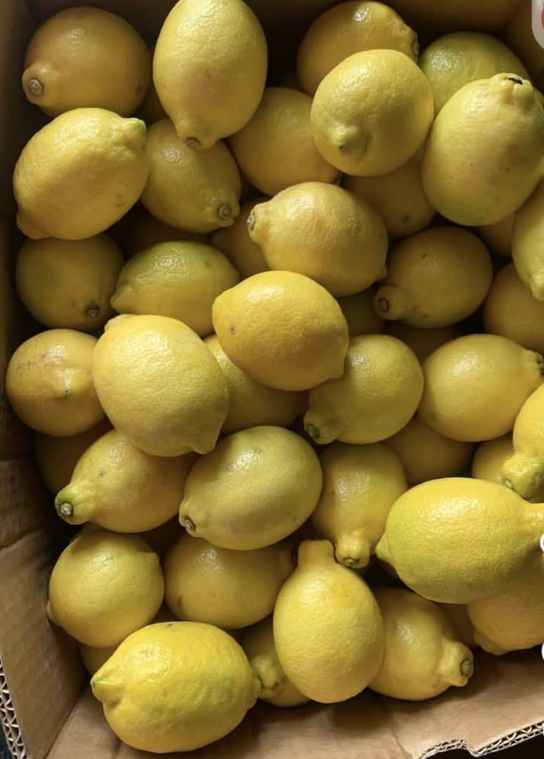 Fresh yellow lemons for sale