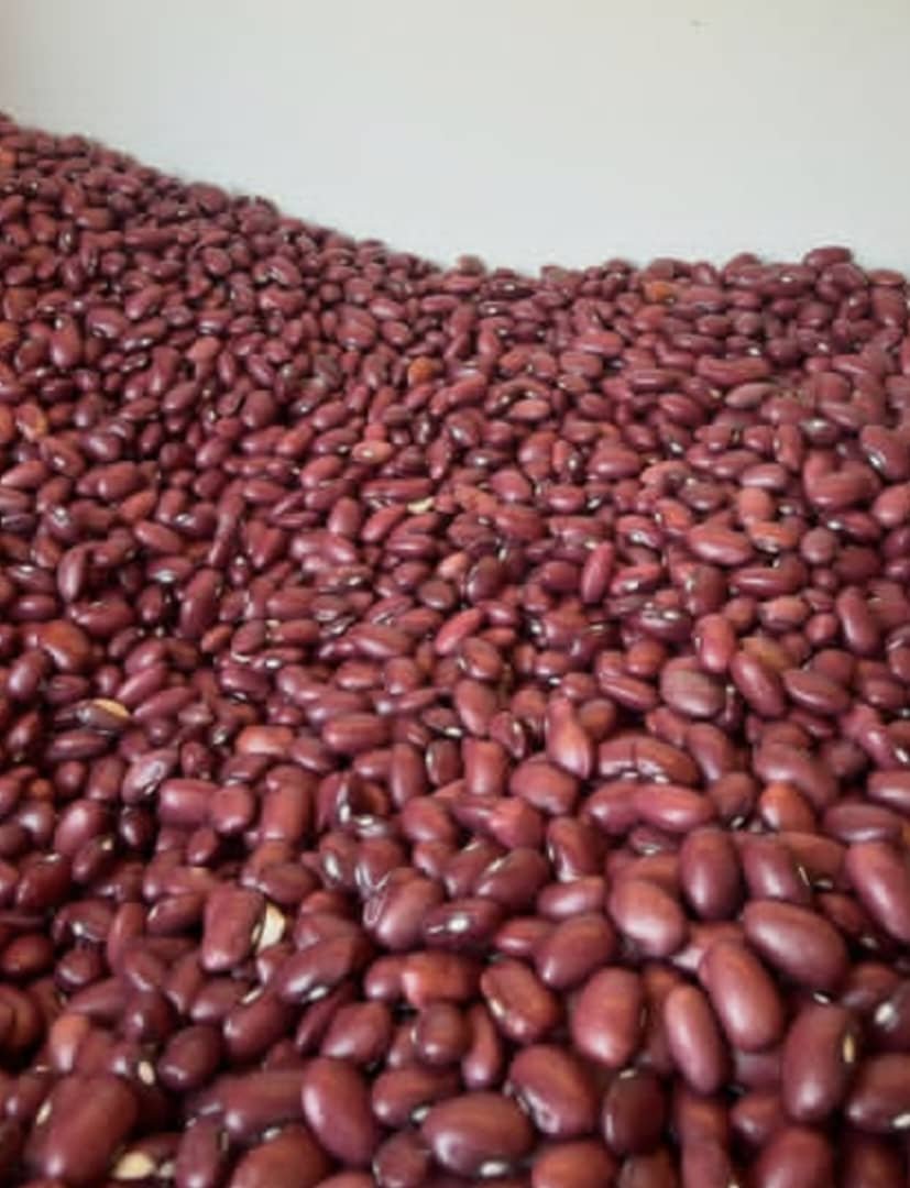 Red kidney beans for sale
