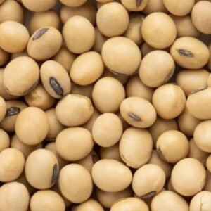 Soya Beans