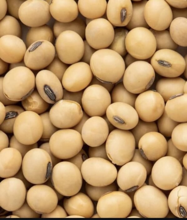 Soya Beans