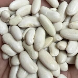 White Kidney Beans