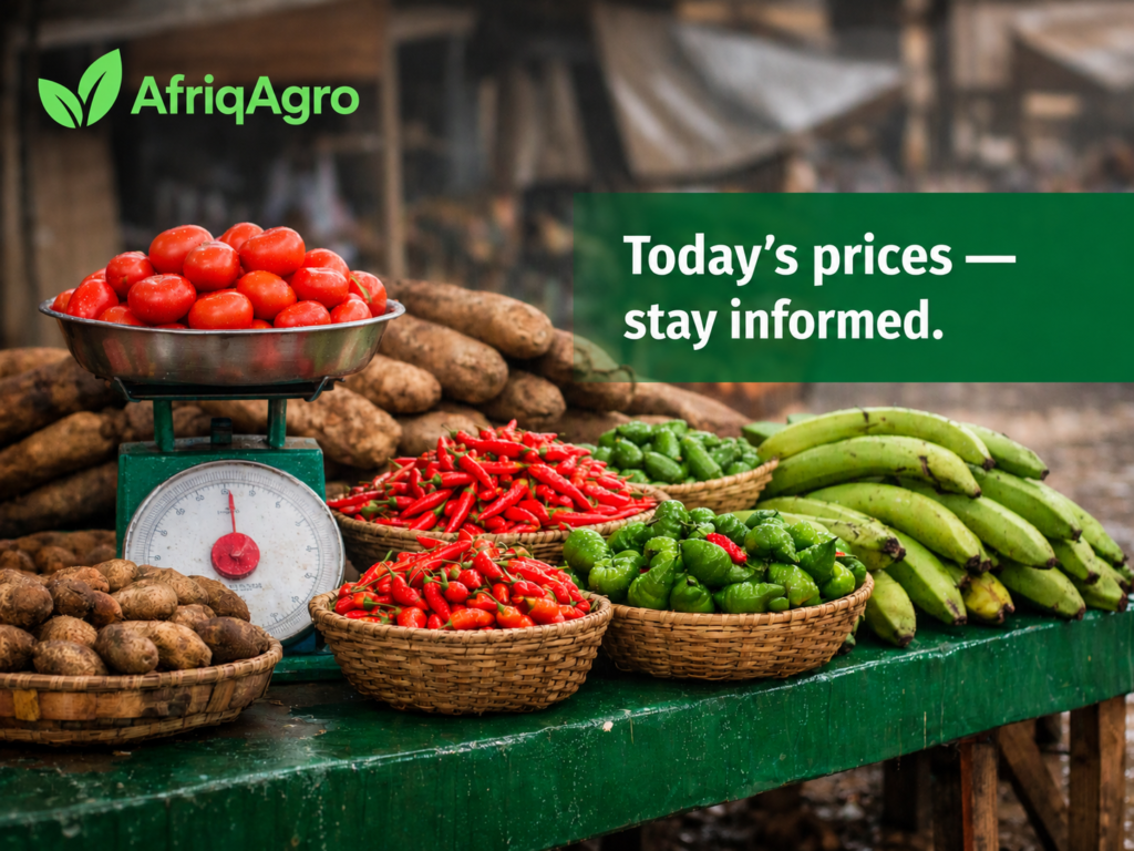 Empowering Cameroon’s Agri-Tech Pioneers: How AfriqAgro Farmers Maximize Success with the New AfriqAgro Platform