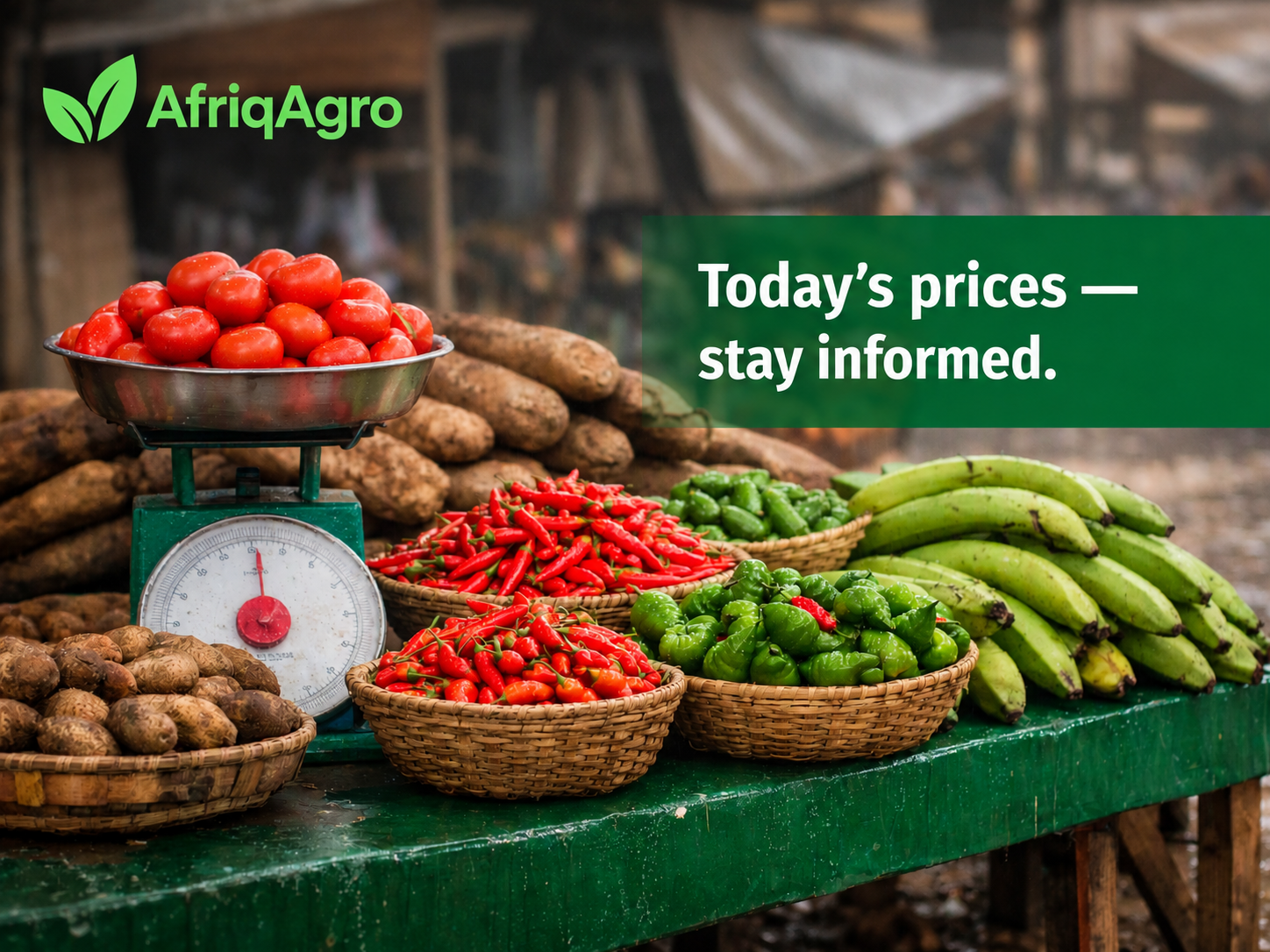 En savoir plus sur l'article Empowering Cameroon’s Agri-Tech Pioneers: How AfriqAgro Farmers Maximize Success with the New AfriqAgro Platform